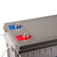 Victron Blei-Kohlenstoff Batterie 12V 160Ah (M8)
